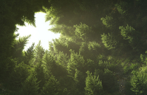 <p>New buildings and facilities were inaugurated.</p>